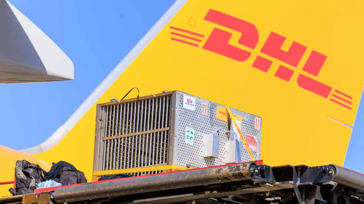 DHL upgrades will be ready for peak season